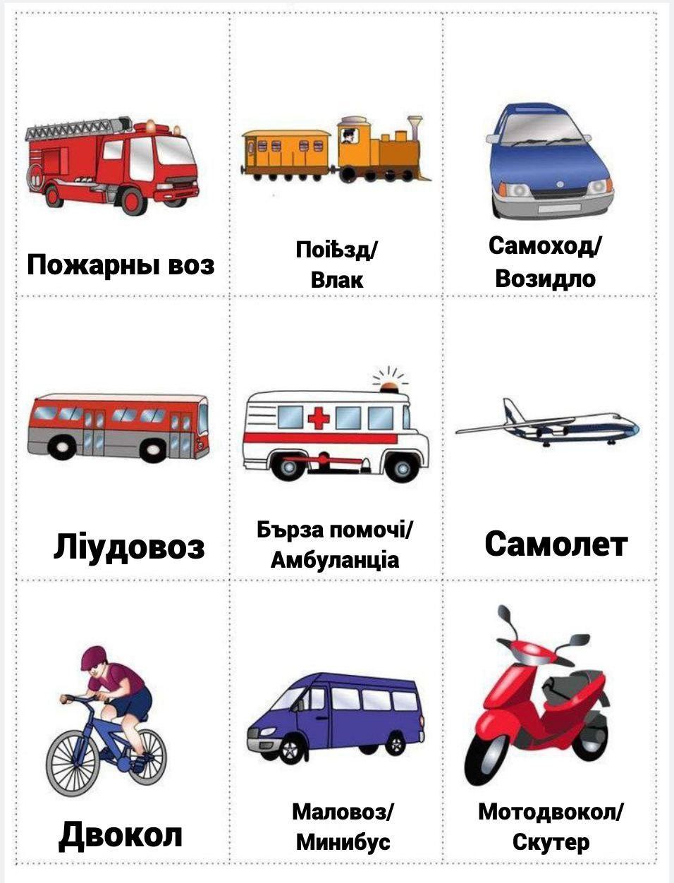 transport